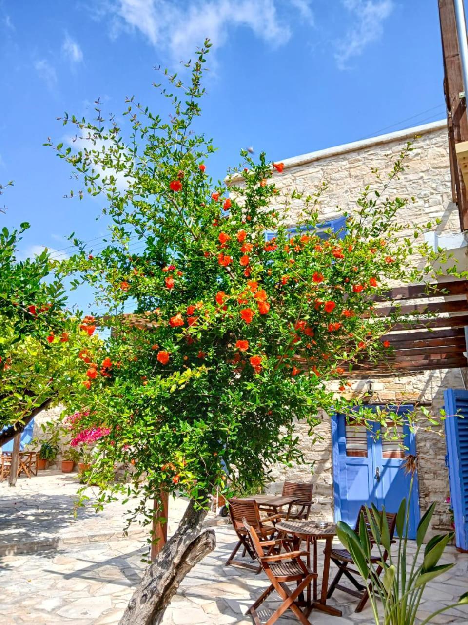 Appartamento Athena'S Pool Oasis Skarinou Esterno foto