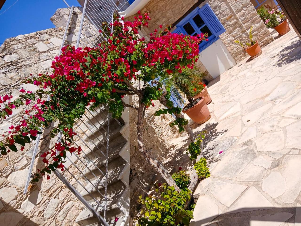 Appartamento Athena'S Pool Oasis Skarinou Esterno foto